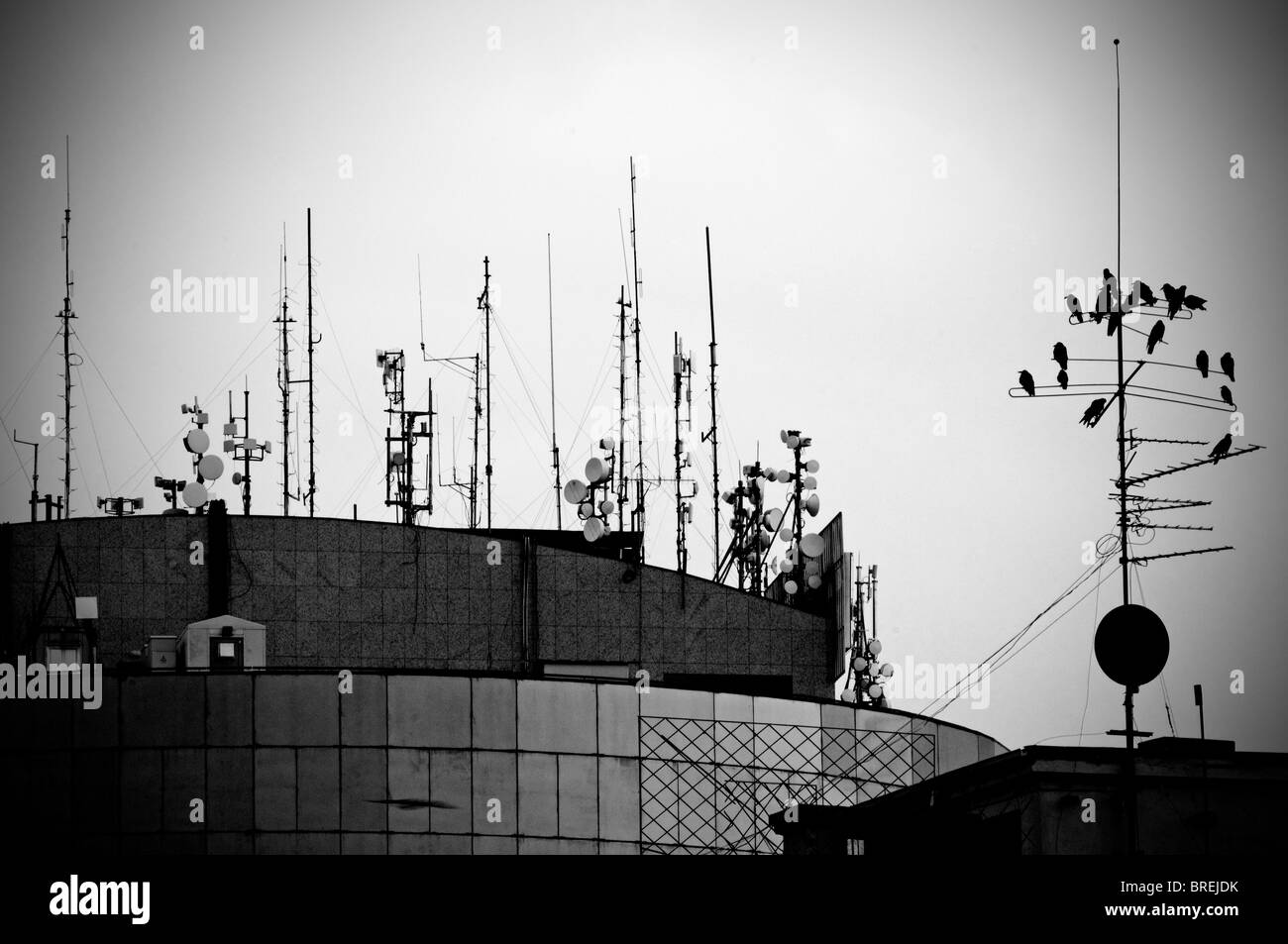 Rumänien, Bukarest Dächer. Alten Fernsehantennen Stockfoto