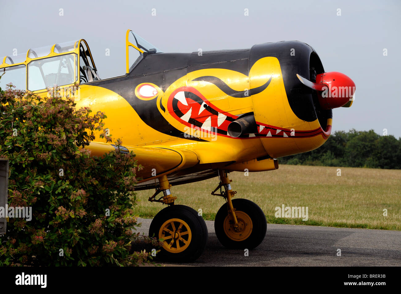 North American T6 Texan, Flugplatz de Cerny - La Ferte-Alais, Amicale Jean-Baptiste Salis in der Nähe von Paris, Essonne, Frankreich Stockfoto