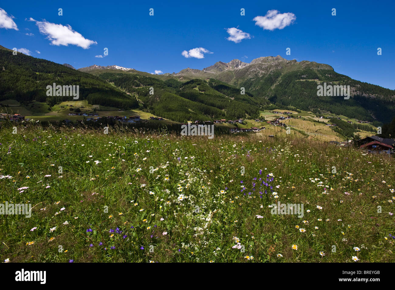 Gurgler Kamm BiosphärenReservat, Sölden im ÖtztalTal, Tirol