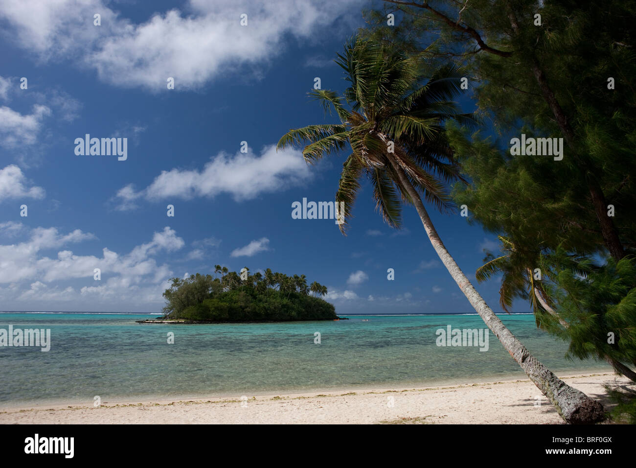 Rarotonga, Cook-Inseln Stockfoto