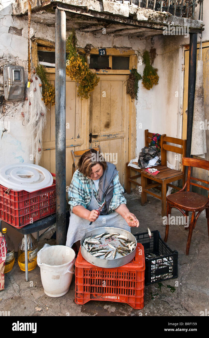 Ausnehmen Fisch vor einem Fishermans Haus im Dorf von Psarades am Ufer des Prespa-See, Mazedonien, Nordgriechenland. Stockfoto