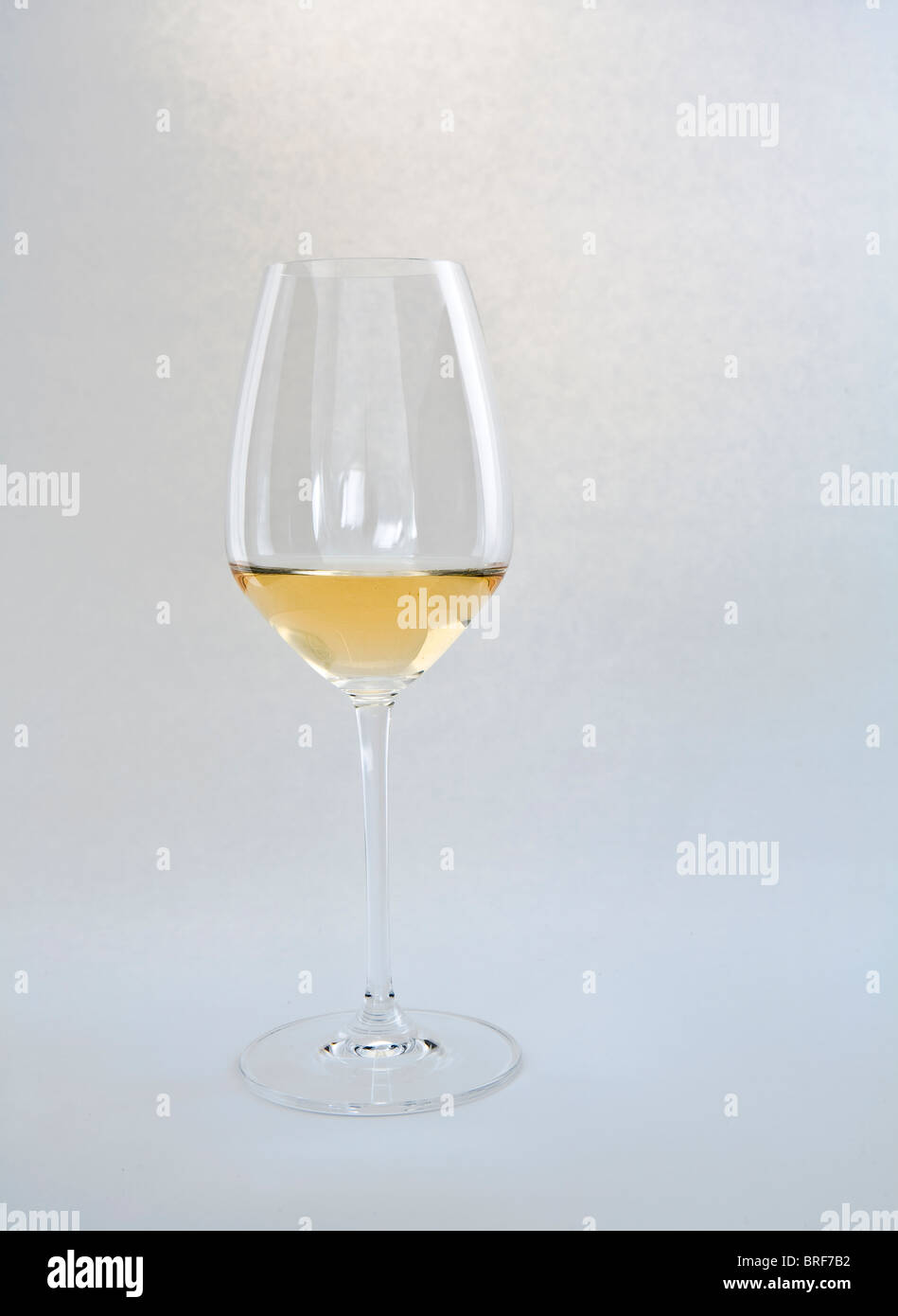 Glas Pinot Grigio Wein vor grauem Hintergrund, Nahaufnahme Stockfoto