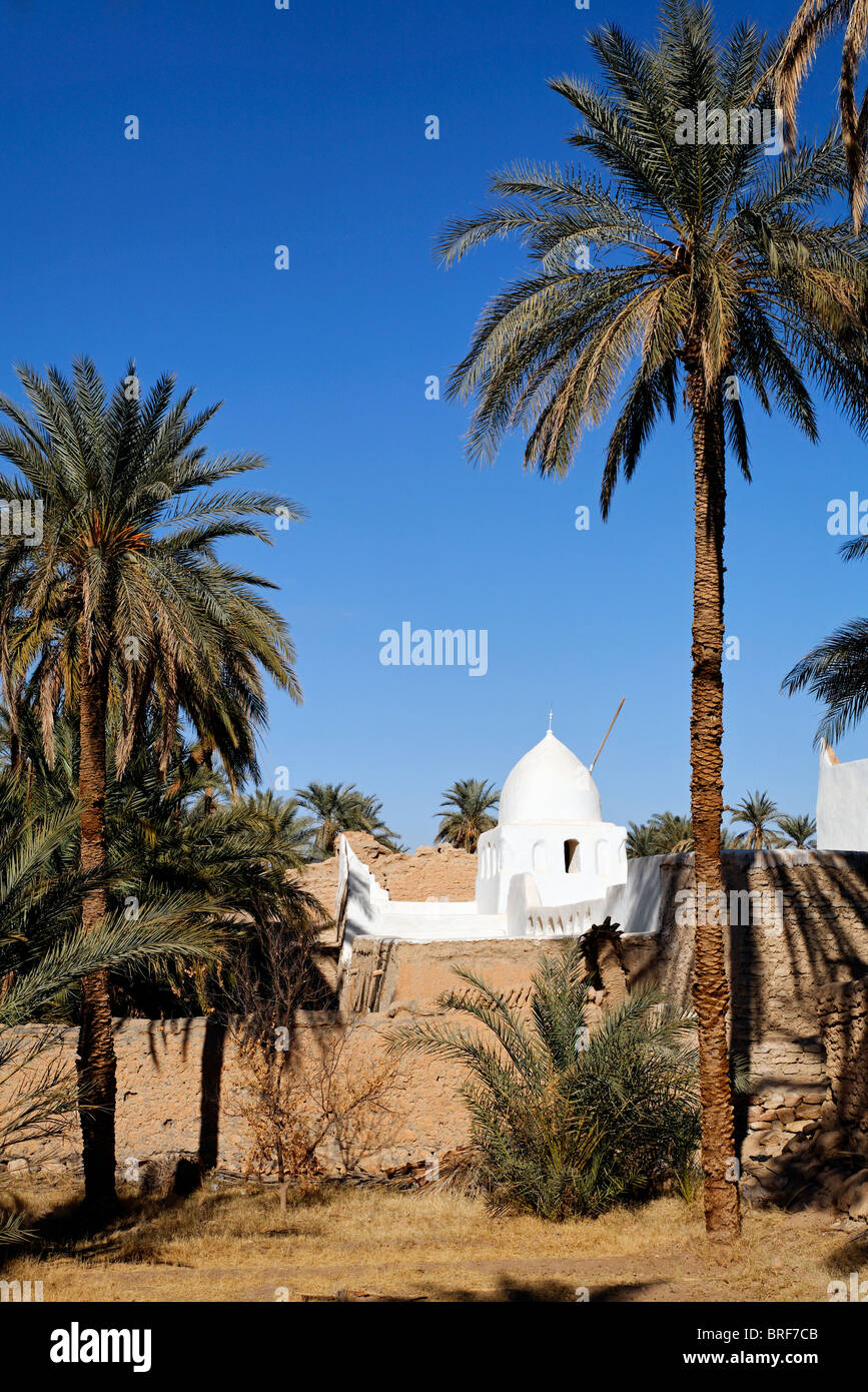 Palmerie und Moschee in Ghadames Altstadt, Libyen Stockfoto