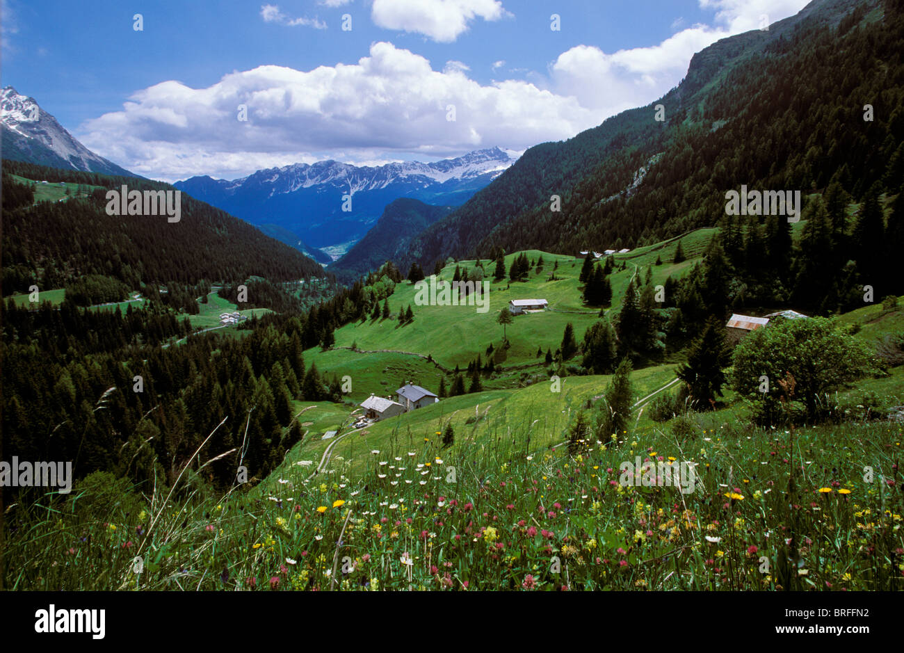 Prudaint, Val Poschiavo, Bernina, Graubündens, der Schweiz, Europa Stockfoto