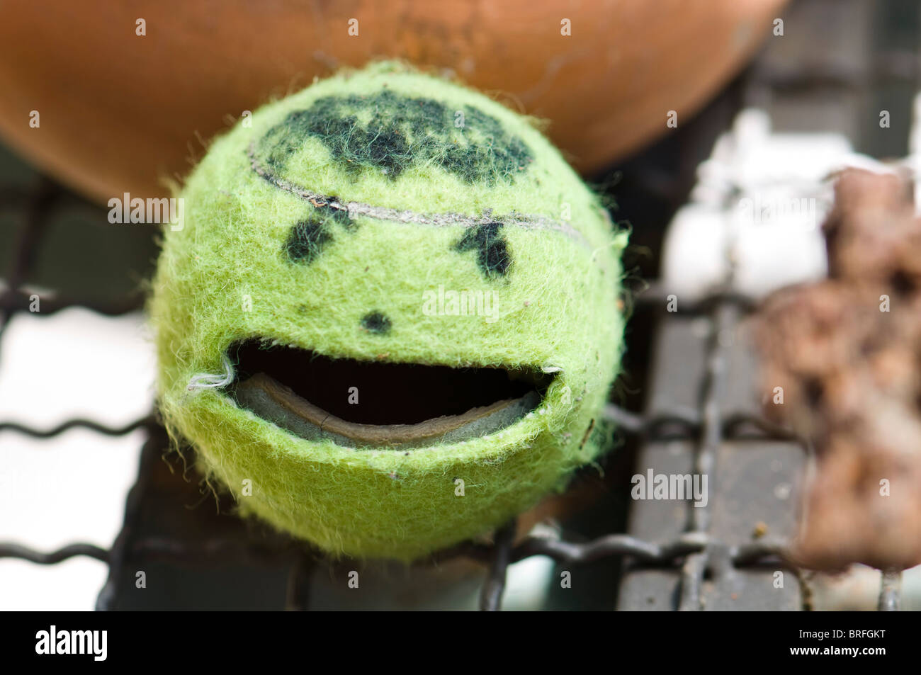 Lustiger lächelnder Tennisball Stockfoto