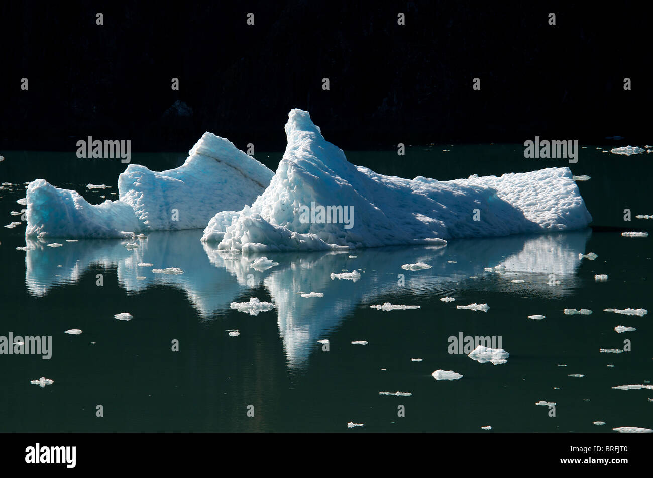 Schwimmendes Eis Tracy Arm Fjord Inside Passage Alaska USA Stockfoto