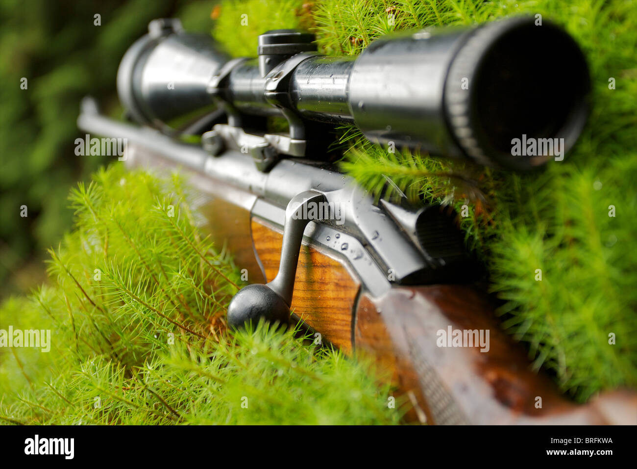 Schließen Sie Detail auf einer Jagdgewehr mit Zielfernrohr Stockfoto