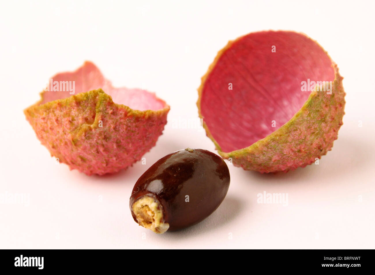 Litschi (Litchi Chinensis) Stockfoto