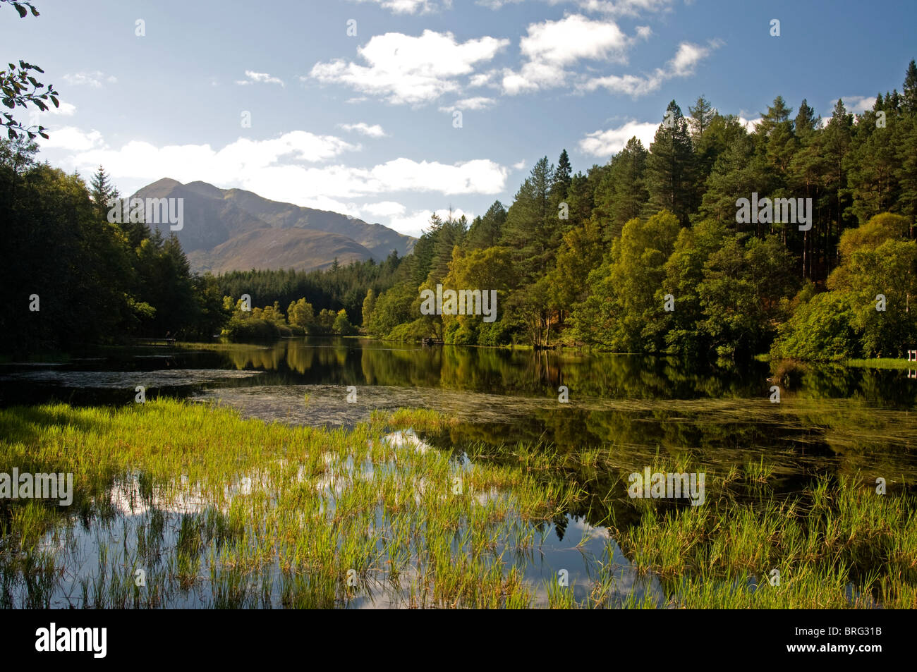 Die Glencoe man von Enterprise Waldweg über Glencoe Village. Schottischen Highlands.  SCO 6766 Stockfoto