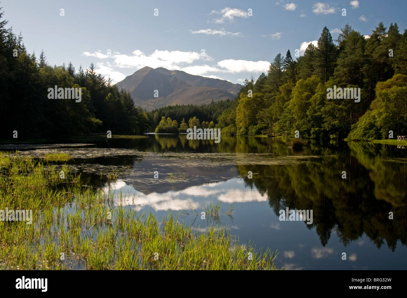 Die Glencoe man von Enterprise Waldweg über Glencoe Village. Schottischen Highlands. SCO 6767 Stockfoto