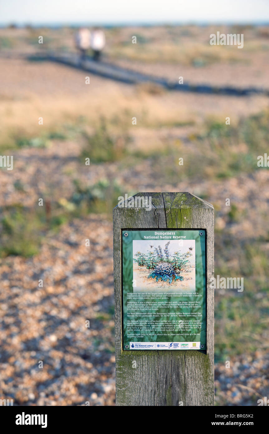 Schild mit den Arten von wilden Blumen wachsen auf einem britischen Strand. Stockfoto