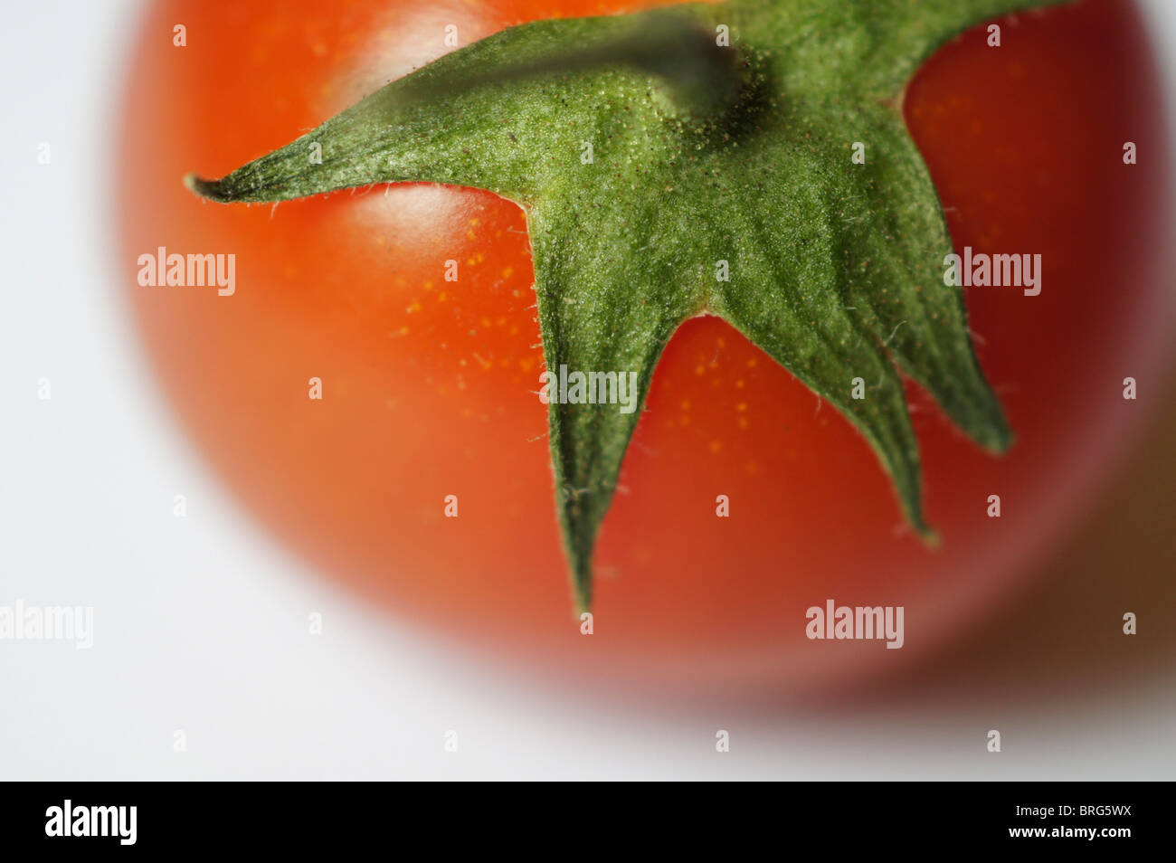 Tomaten auf den weißen Hintergrund, Makro Stockfoto