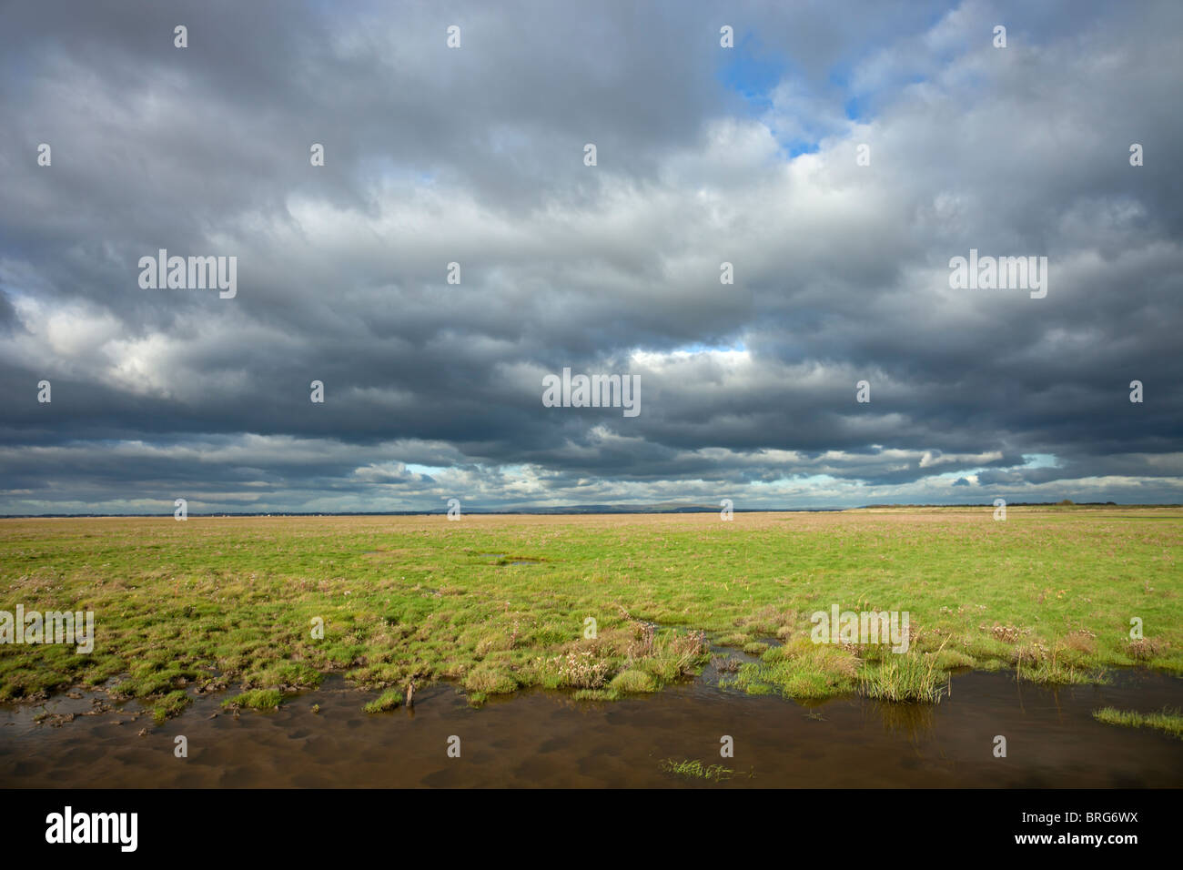 Ribble-Sümpfe Stockfoto