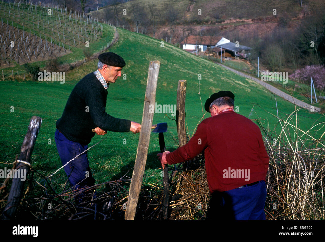 2, 2, Franzosen, französische baskische Männer, Hirten, Reparatur Holz Zaun, Französisches Baskenland, Dorf von Itxassou, Frankreich, Europa Stockfoto