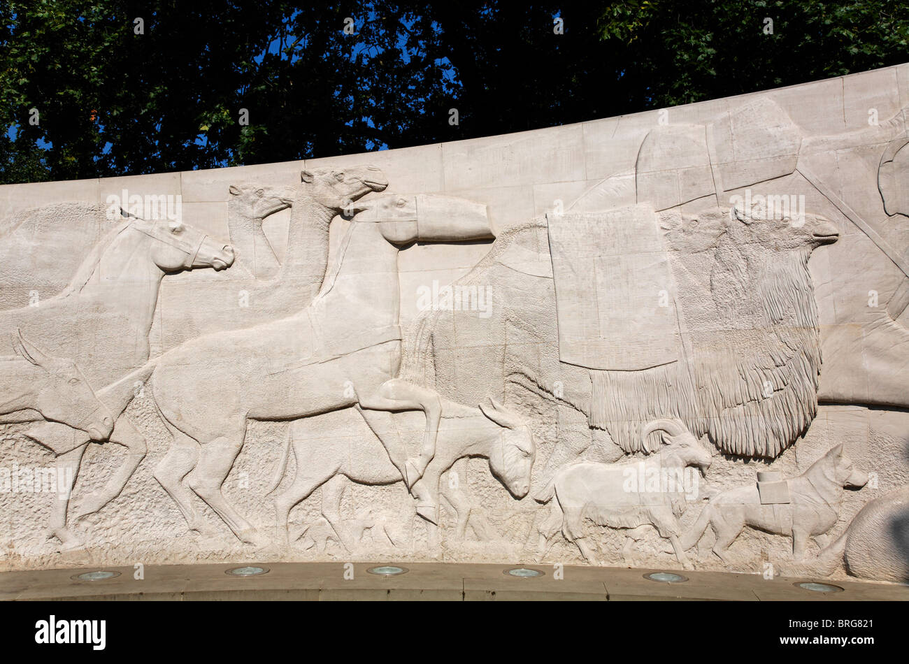Tiere im Krieg Moument, Skulptur von David Backhouse, in London, Großbritannien Stockfoto