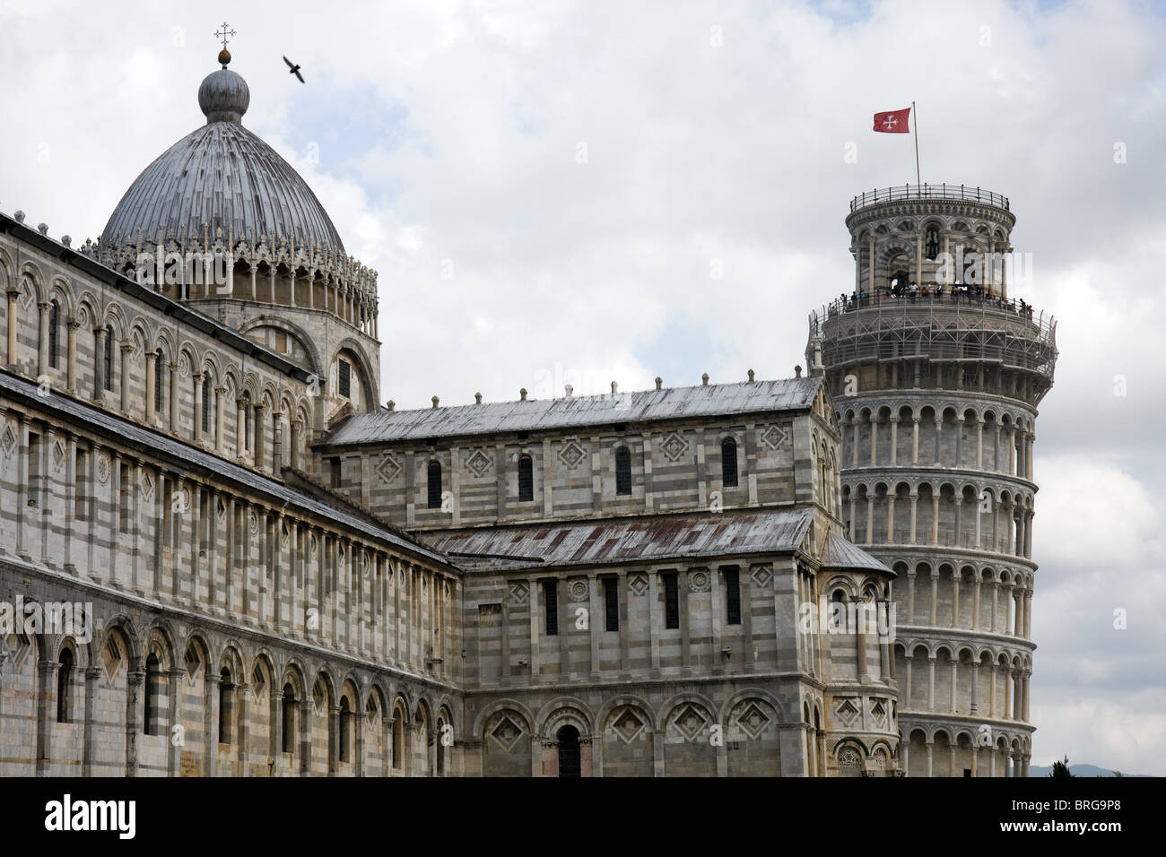 Die Kathedrale und der schiefe Turm von Pisa Stockfoto