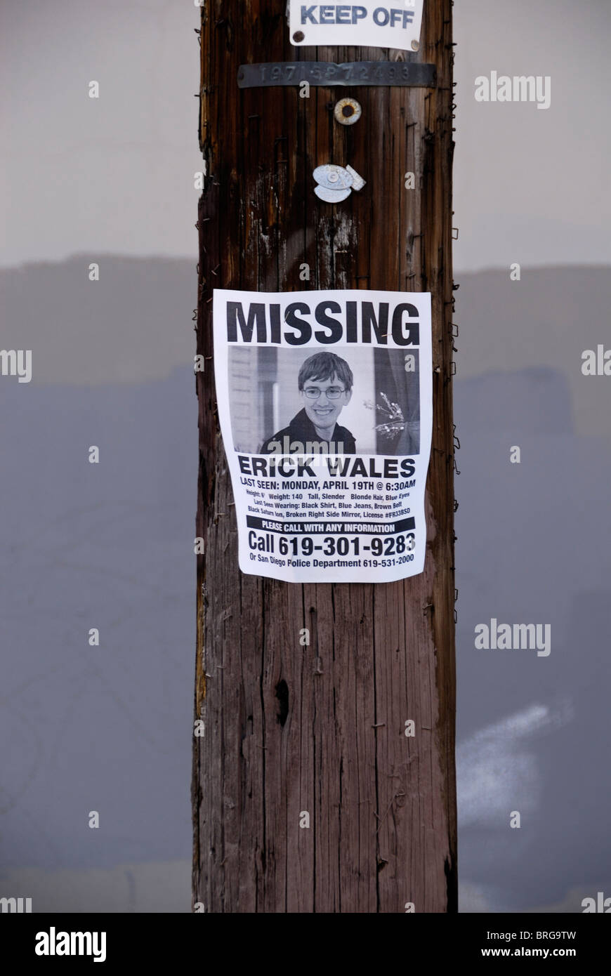 Fehlende Person Plakat angebracht, um ein Strommast im Abschnitt Barrio Logan aus San Diego, Kalifornien Stockfoto