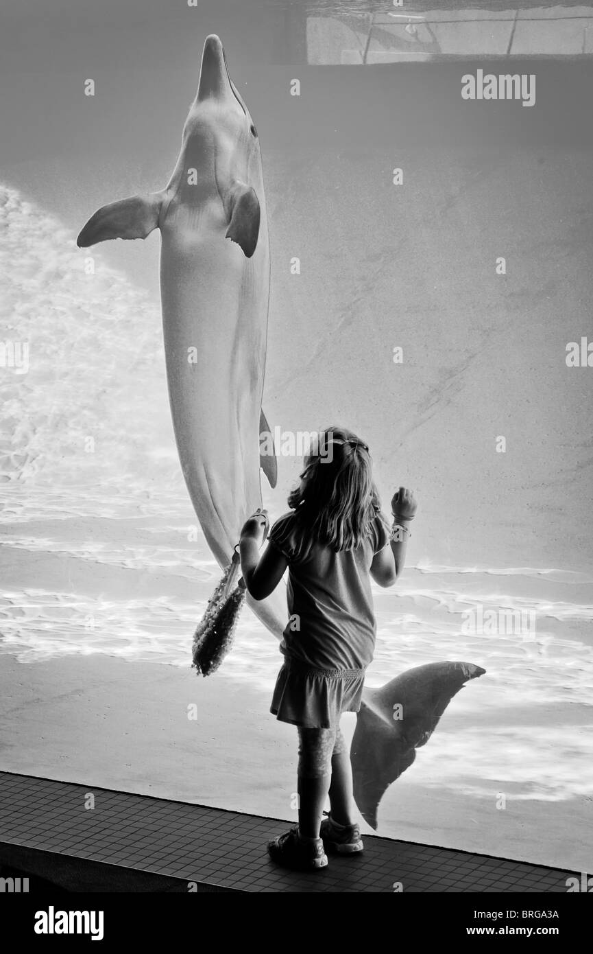 Sieben-Jahr-altes Mädchen Uhren Delfine an der Texas State Aquarium in Corpus Christi, Texas. Stockfoto