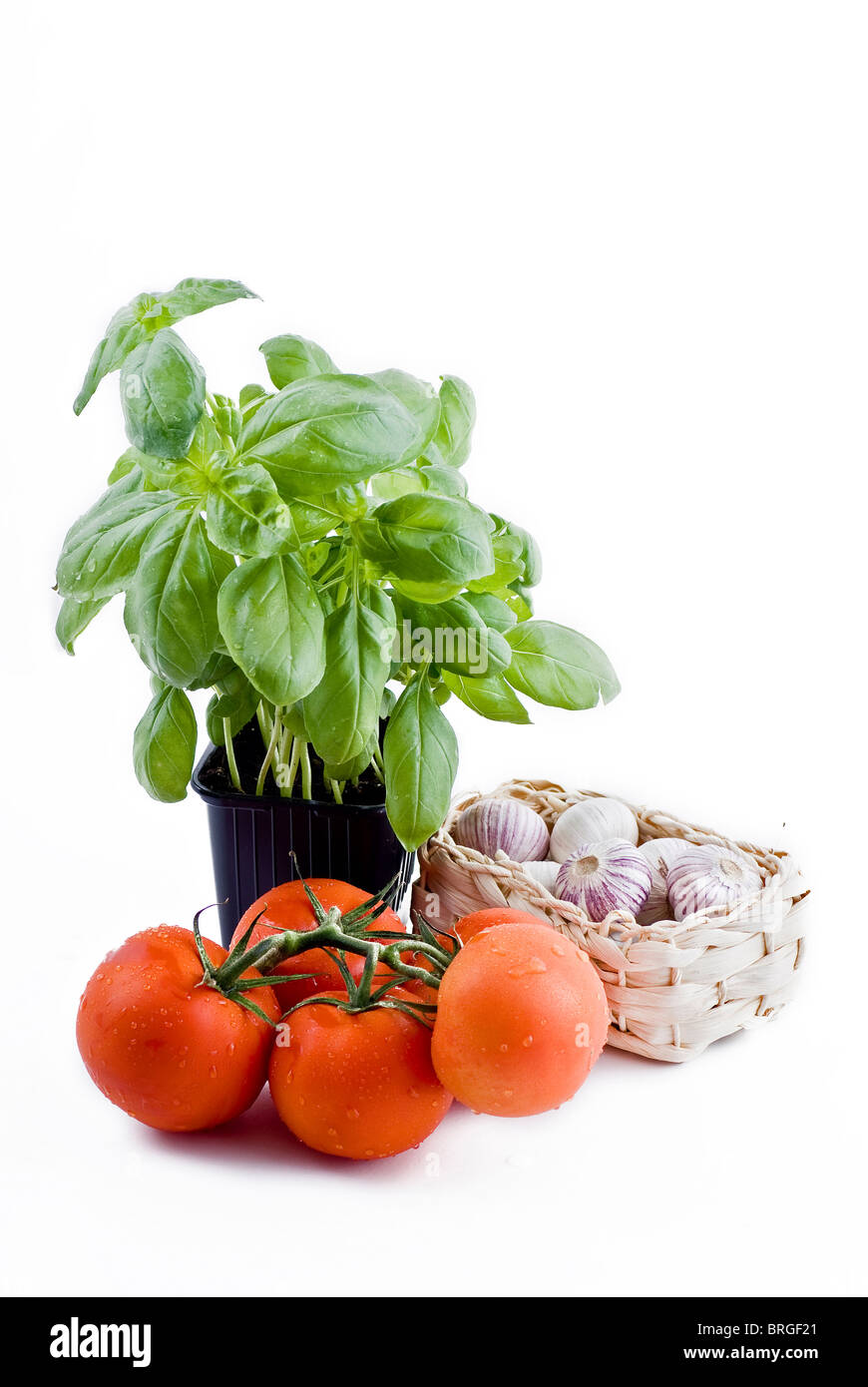 Isolierte Frischgemüse - Basilikum im Topf, jede Menge Tomaten und Knoblauch-Korb Stockfoto Isolierte Frischgemüse - Basilikum im Topf, jede Menge Tomaten und Knoblauch-Korb Stockfoto