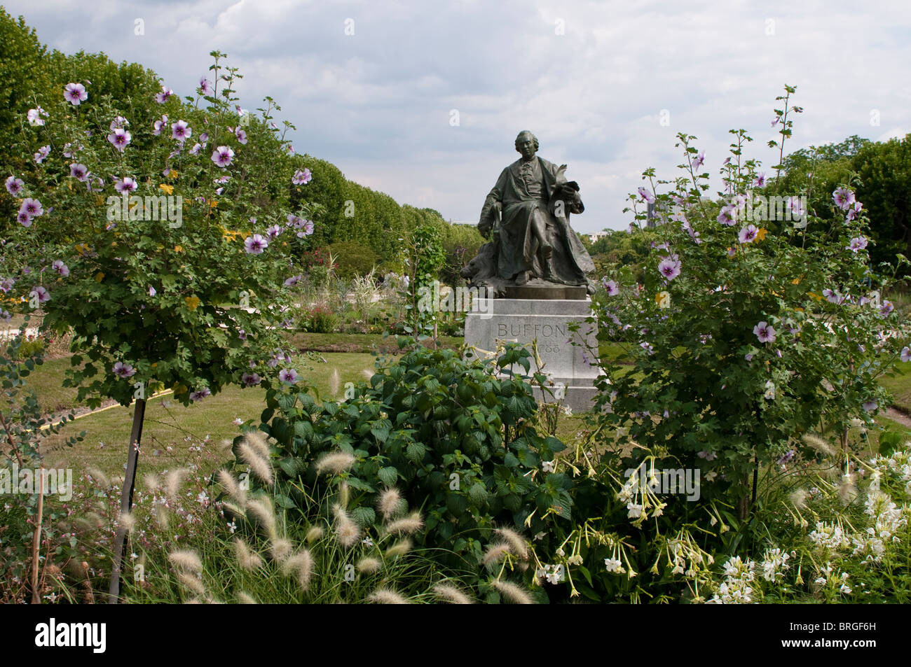 Statue von Buffon, Jardin des Plantes, Botanischer Garten, Paris, Frankreich Stockfoto