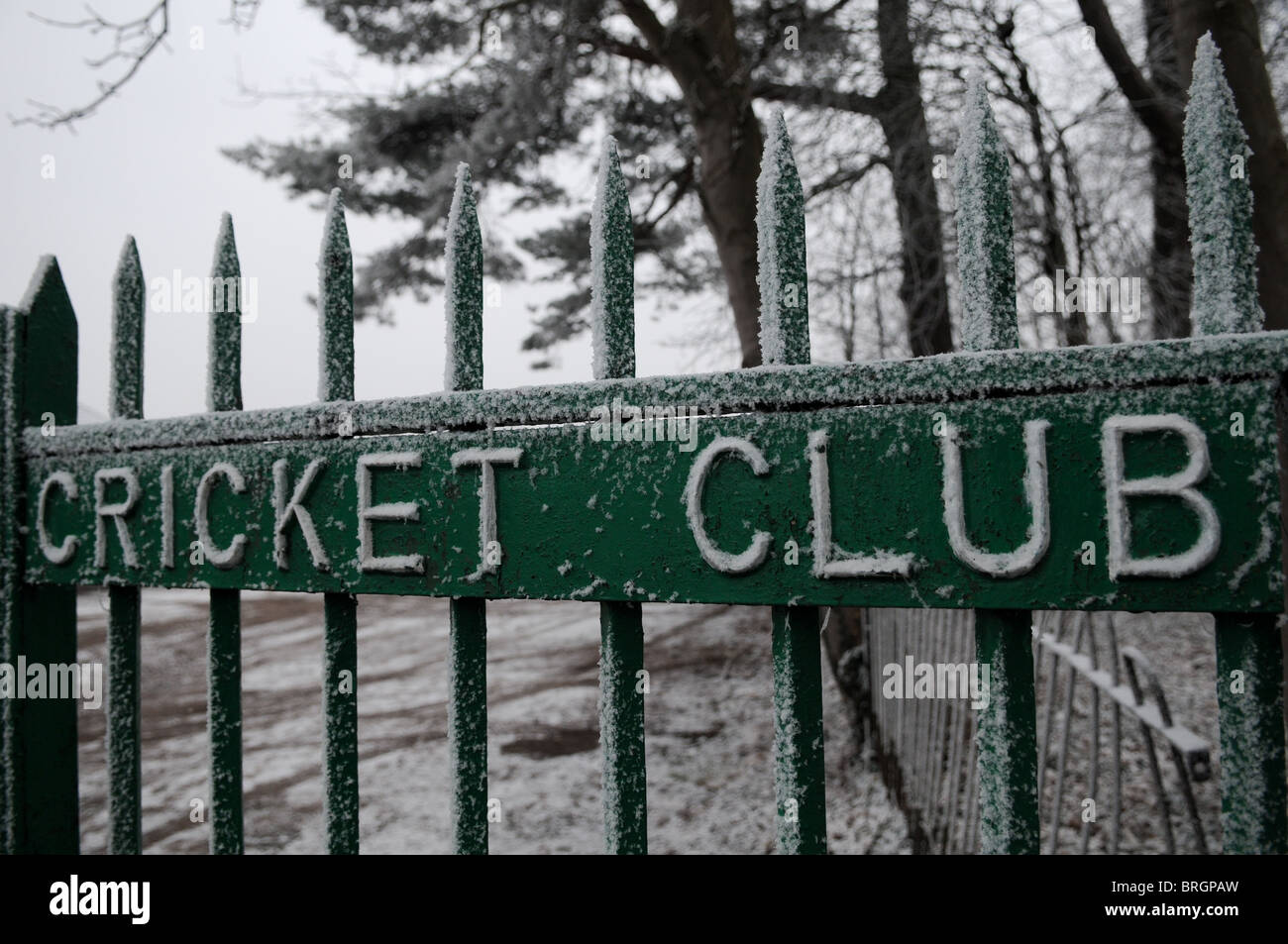 Dickes Eis auf grüne Eisengitter und Schriftzug die Cricket Club mit Bäumen hinter in Wolverhampton Cricket Club Zauber Stockfoto