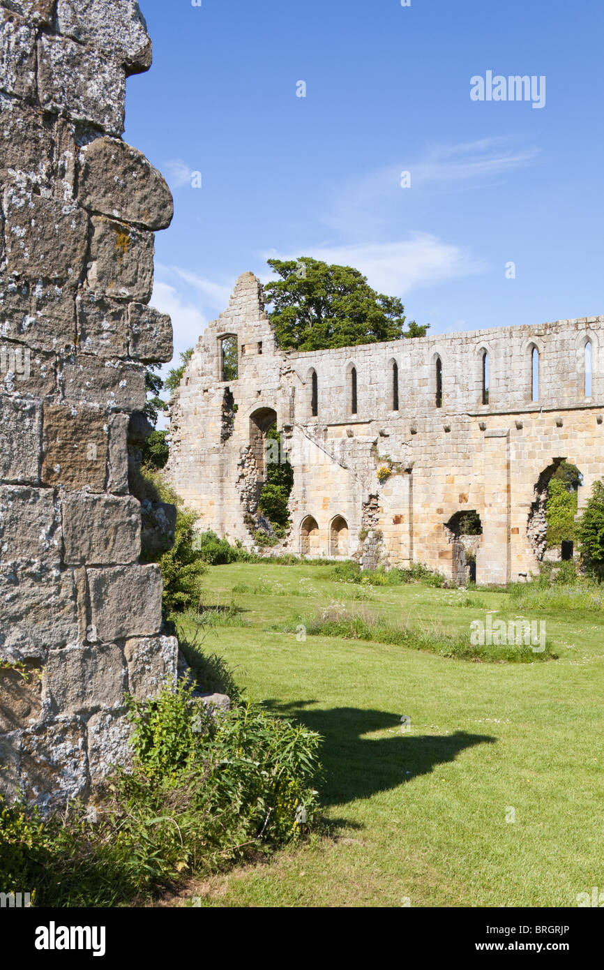 Jervaulx Abbey, North Yorkshire Stockfoto