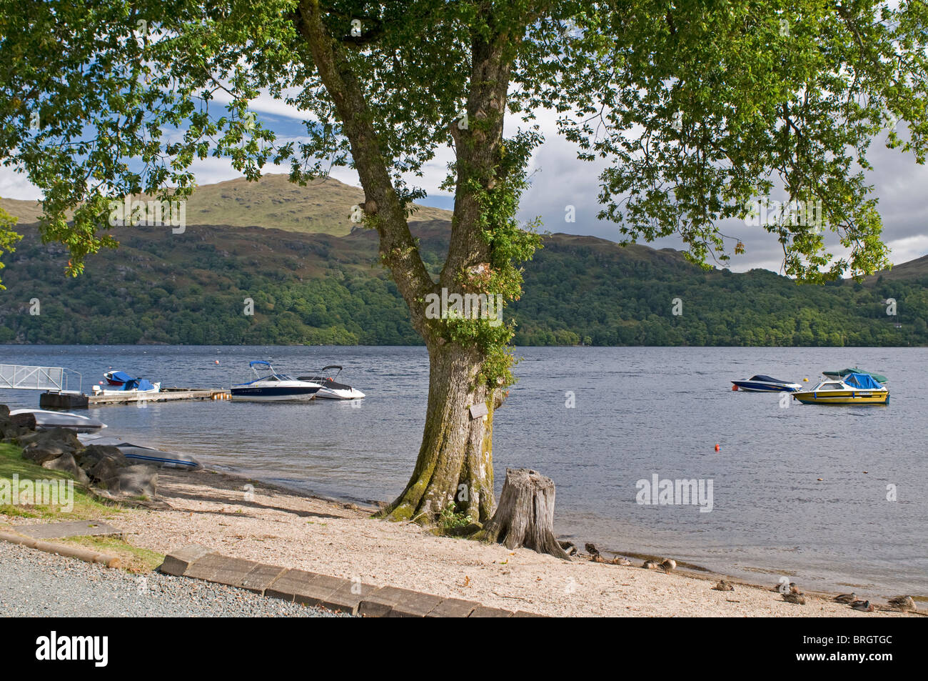 Sportboote vor Anker auf dem Loch Lomond & The Trossachs National Park. Strathclyde.  SCO 6777 Stockfoto