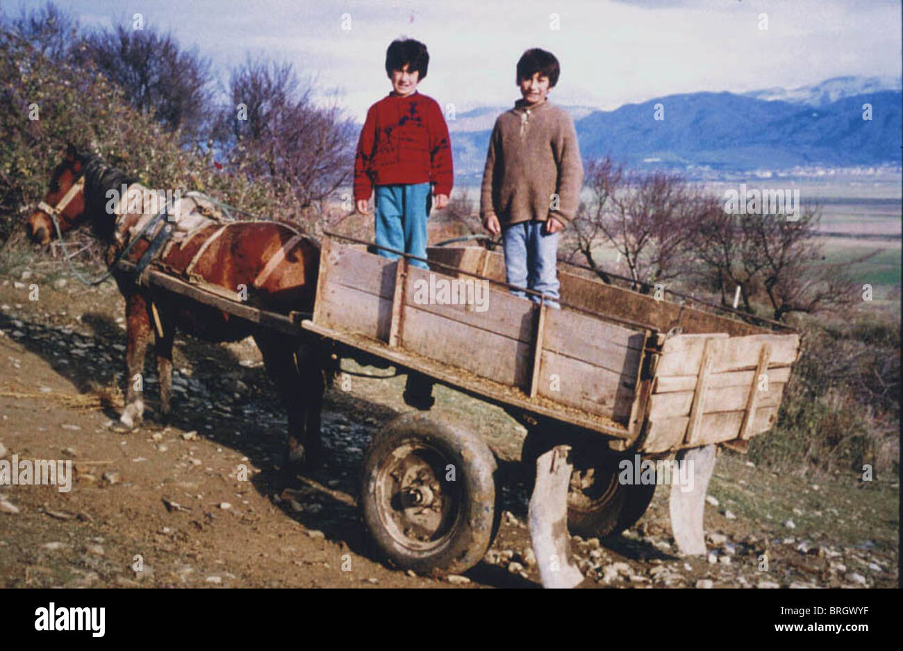 Jungs stehen in einem Pferd gezeichneten Wagen in Korca, Albanien. Stockfoto