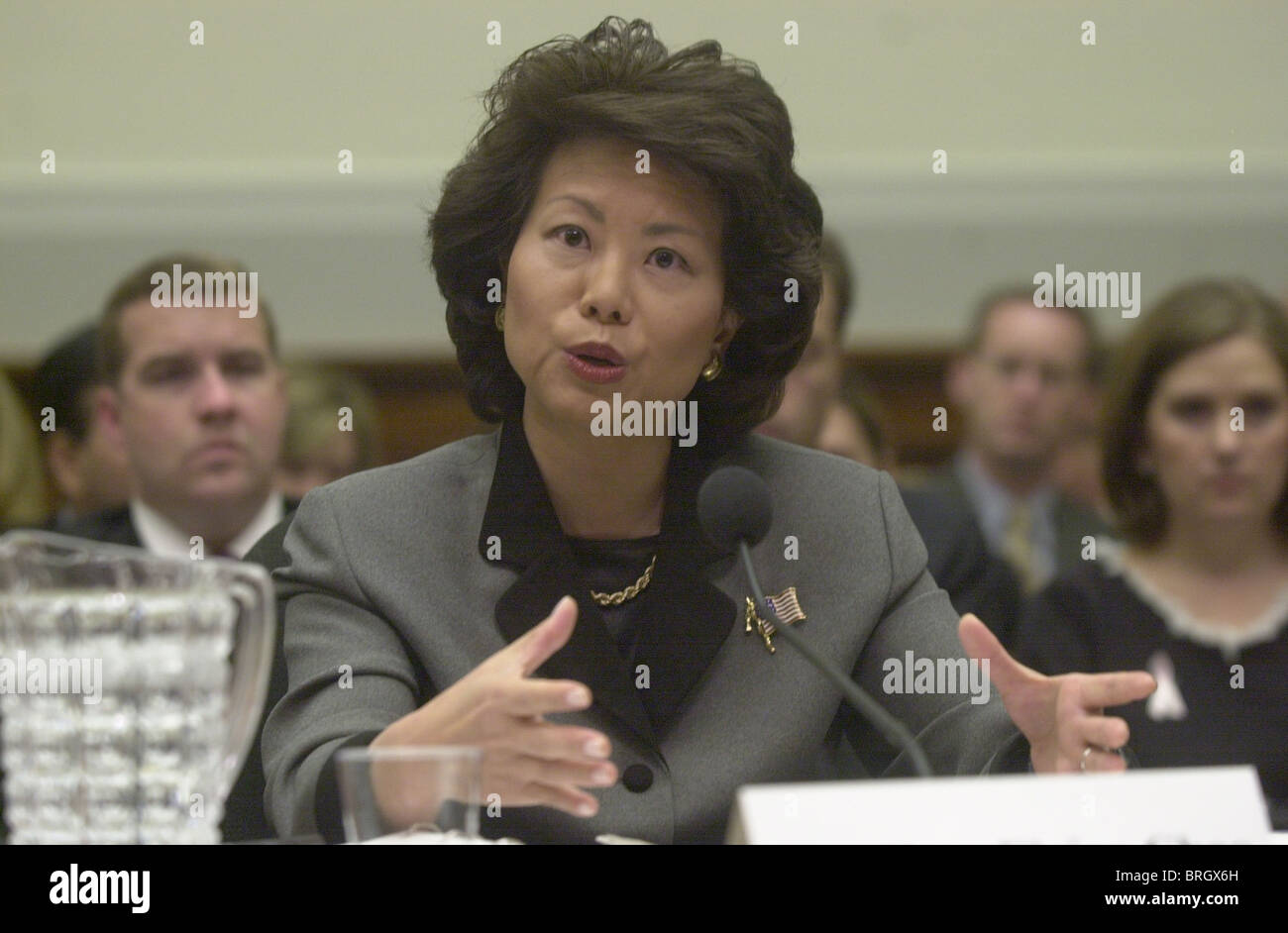 Arbeitsministerin Elaine Chao bezeugt auf dem Capitol Hill Dienstag, 16. Oktober 2001 vor der Haus-Bildung und die Belegschaft hearin Stockfoto