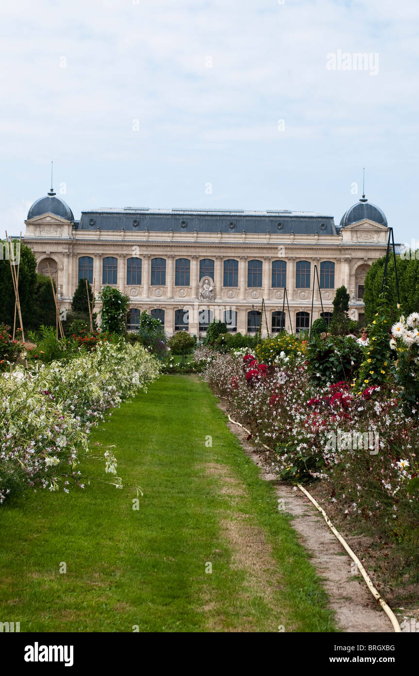 Jardin des Plantes, Botanischer Garten, Paris, Frankreich Stockfoto