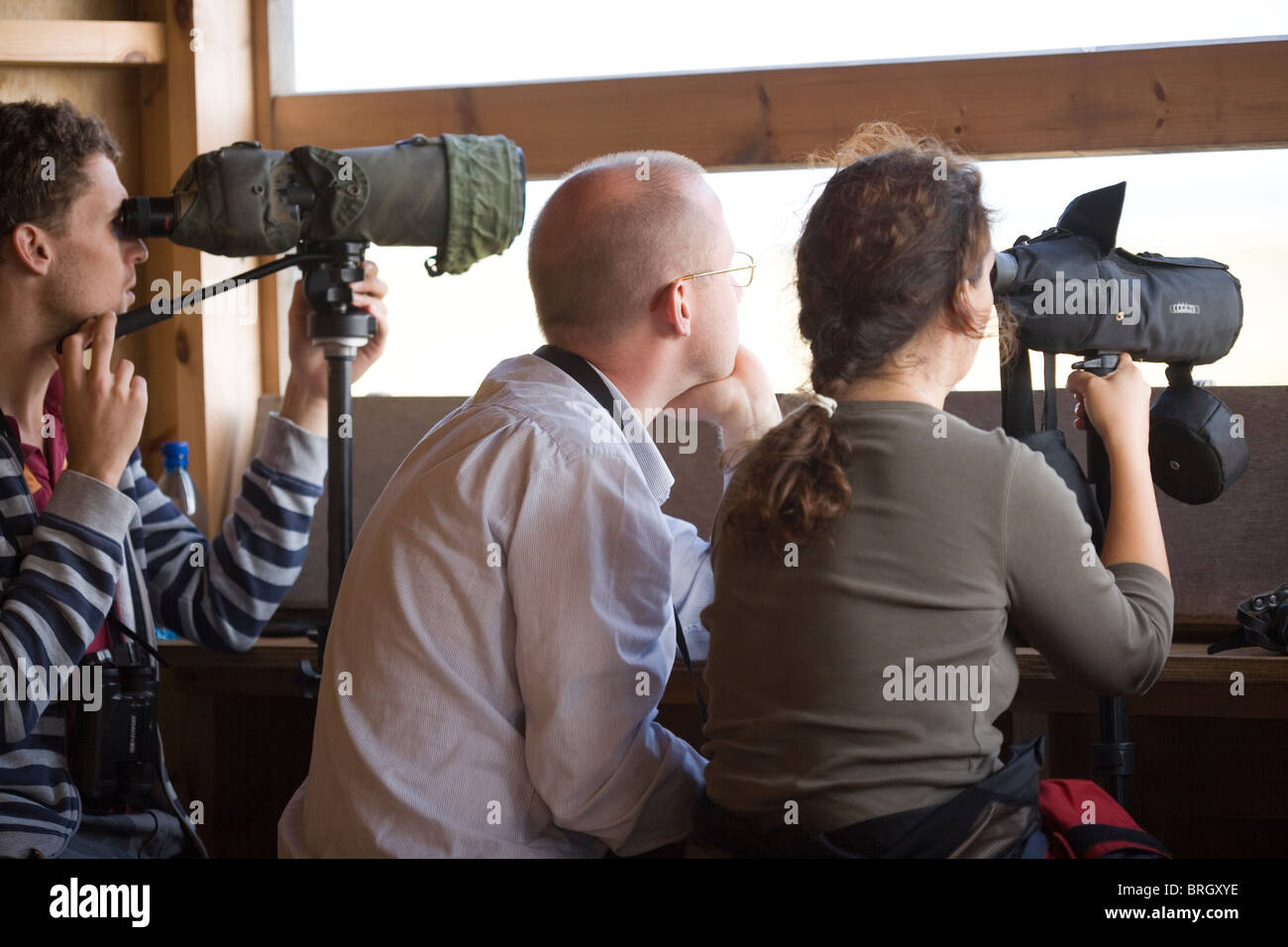 Vogelbeobachter in einem Versteck mit Teleskopen aus betrachten. Stockfoto
