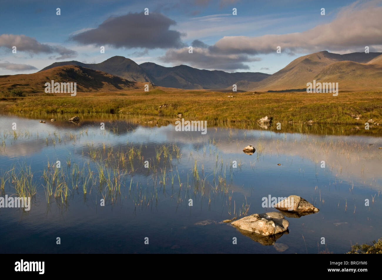 Morgensonne über den trostlosen Landschaft man Na-Achlaise in Blackmount Rannoch Moor. Inverness-Shire. Schottland SCO 6791 Stockfoto
