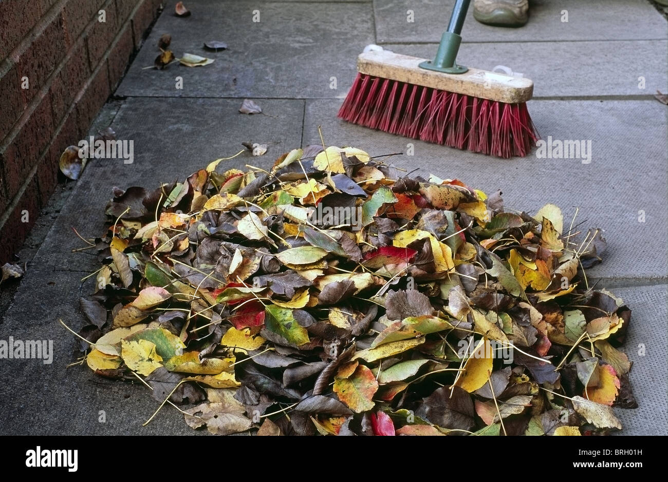 Pauschal einen Stapel von Laub mit einem Besen, UK Stockfoto