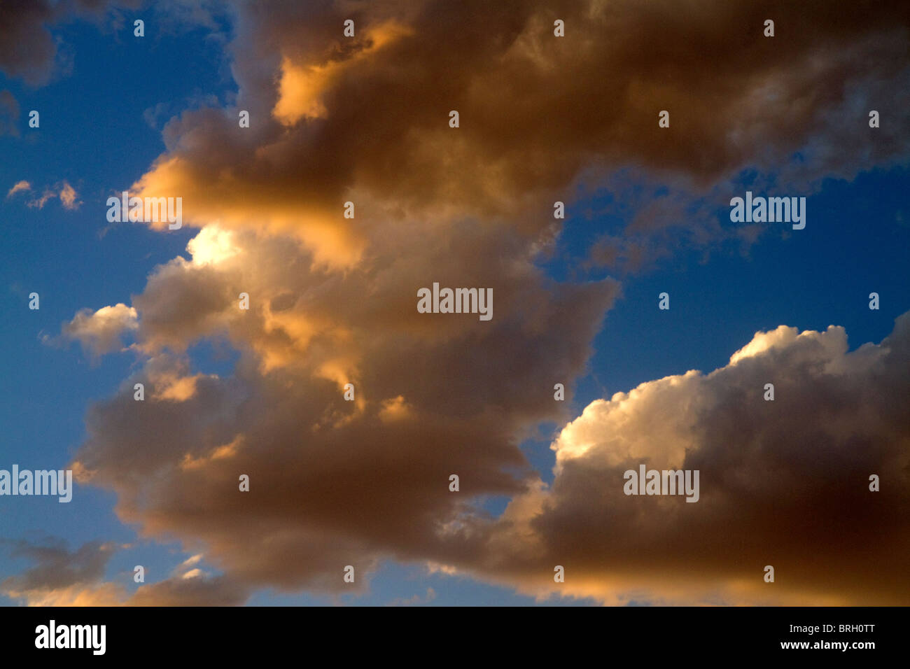 Wolken von der Abendsonne beleuchtet. Stockfoto