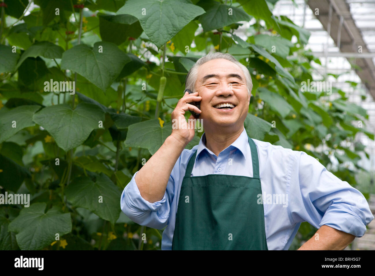 Landwirt Telefonieren in moderner Bauernhof Stockfoto
