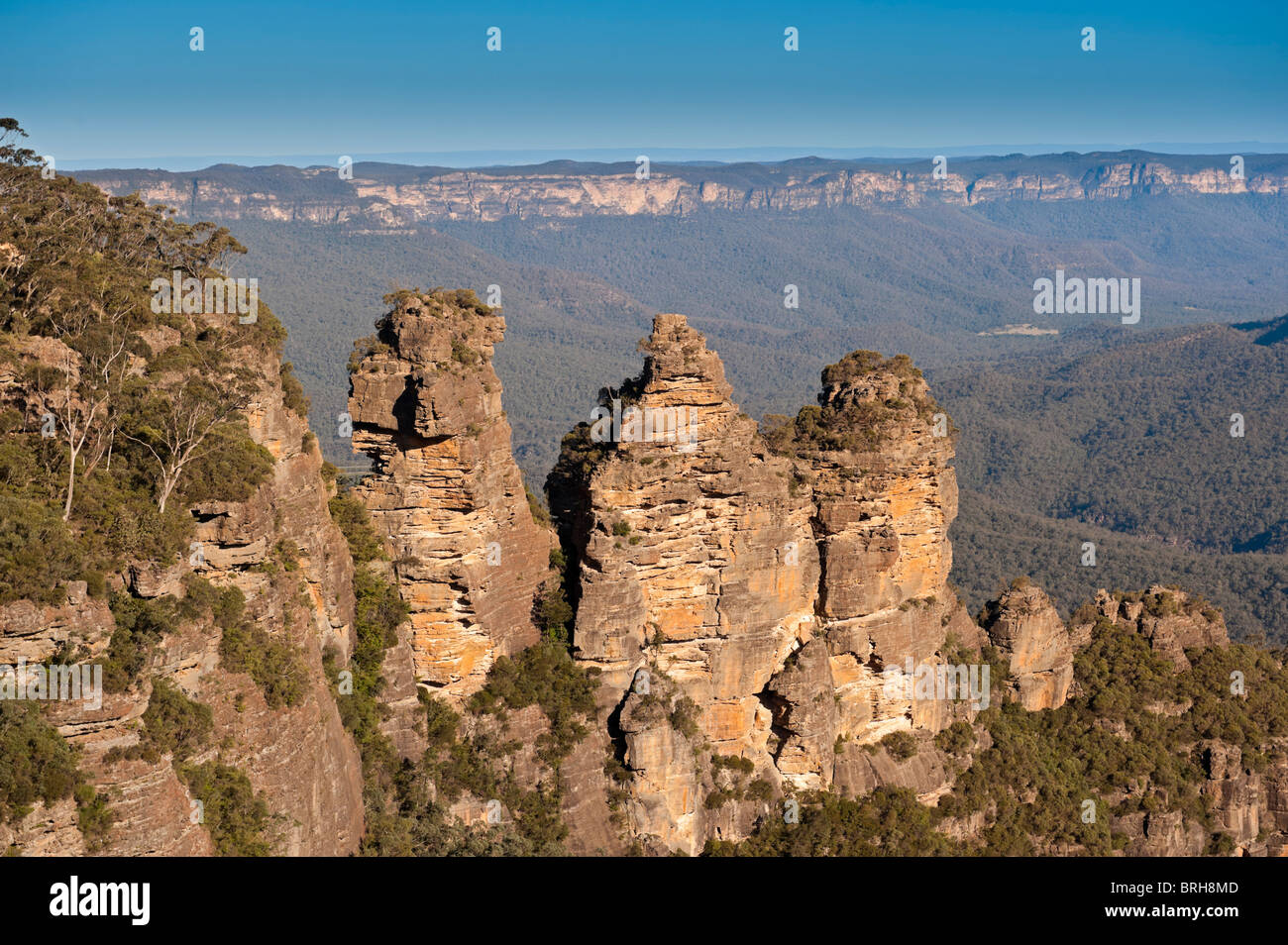 Die drei Schwestern, Meehni, Wimlah und Gunnedoo, vom Echo Point, Katoomba. Die Blue Mountains, New South Wales, Australien Stockfoto