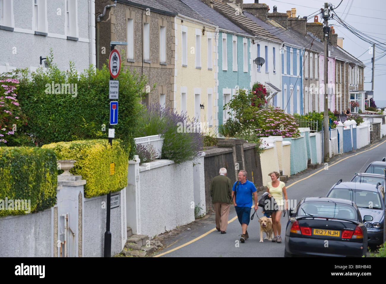 Menschen wandern Hund Straße entlang vorbei an Terrasse der Häuser in der walisische Badeort New Quay Ceredigion West Wales UK Stockfoto