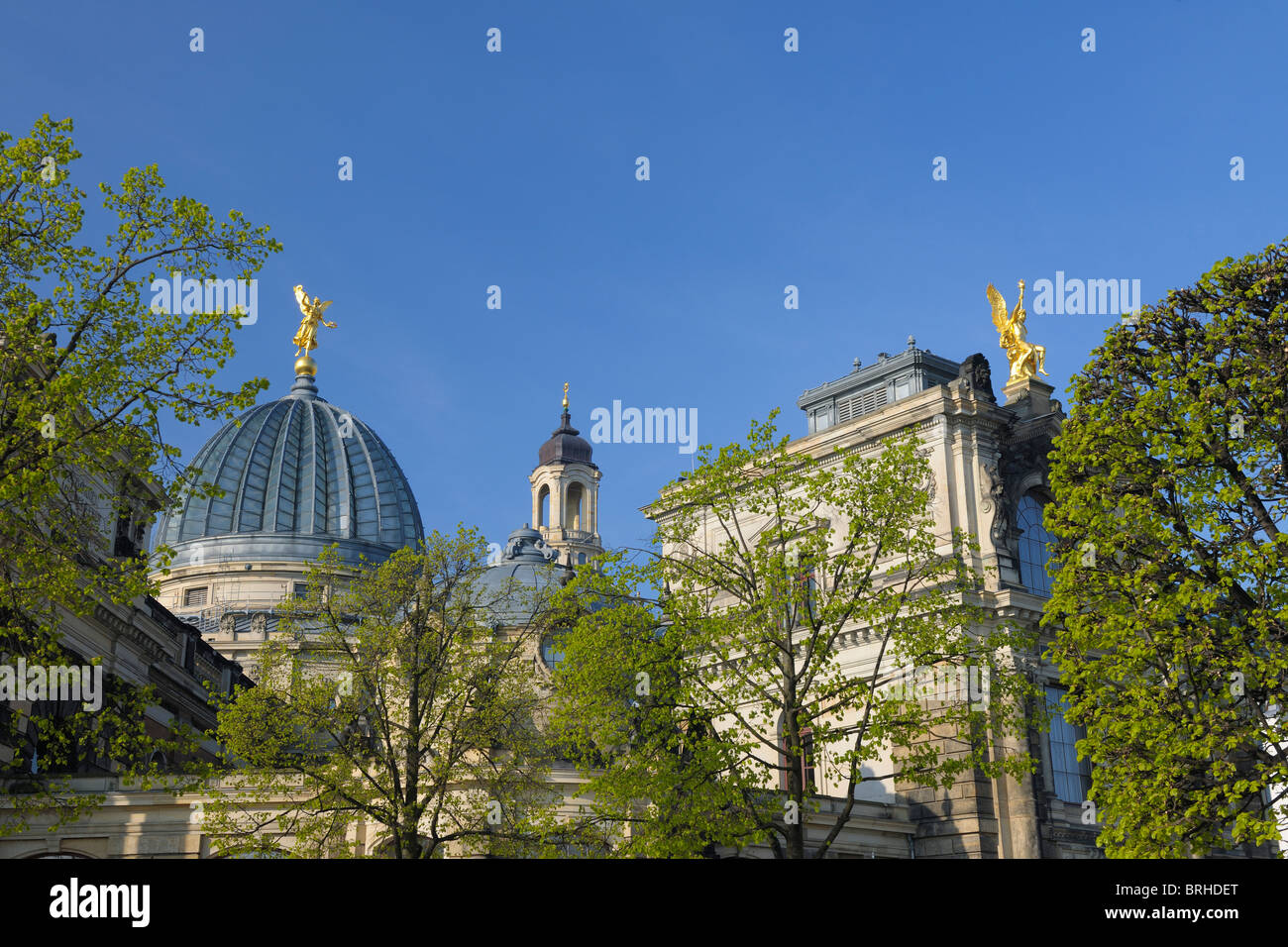 Dresdner Akademie der bildenden Künste mit Bäumen im Frühjahr, Dresden, Sachsen, Deutschland Stockfoto