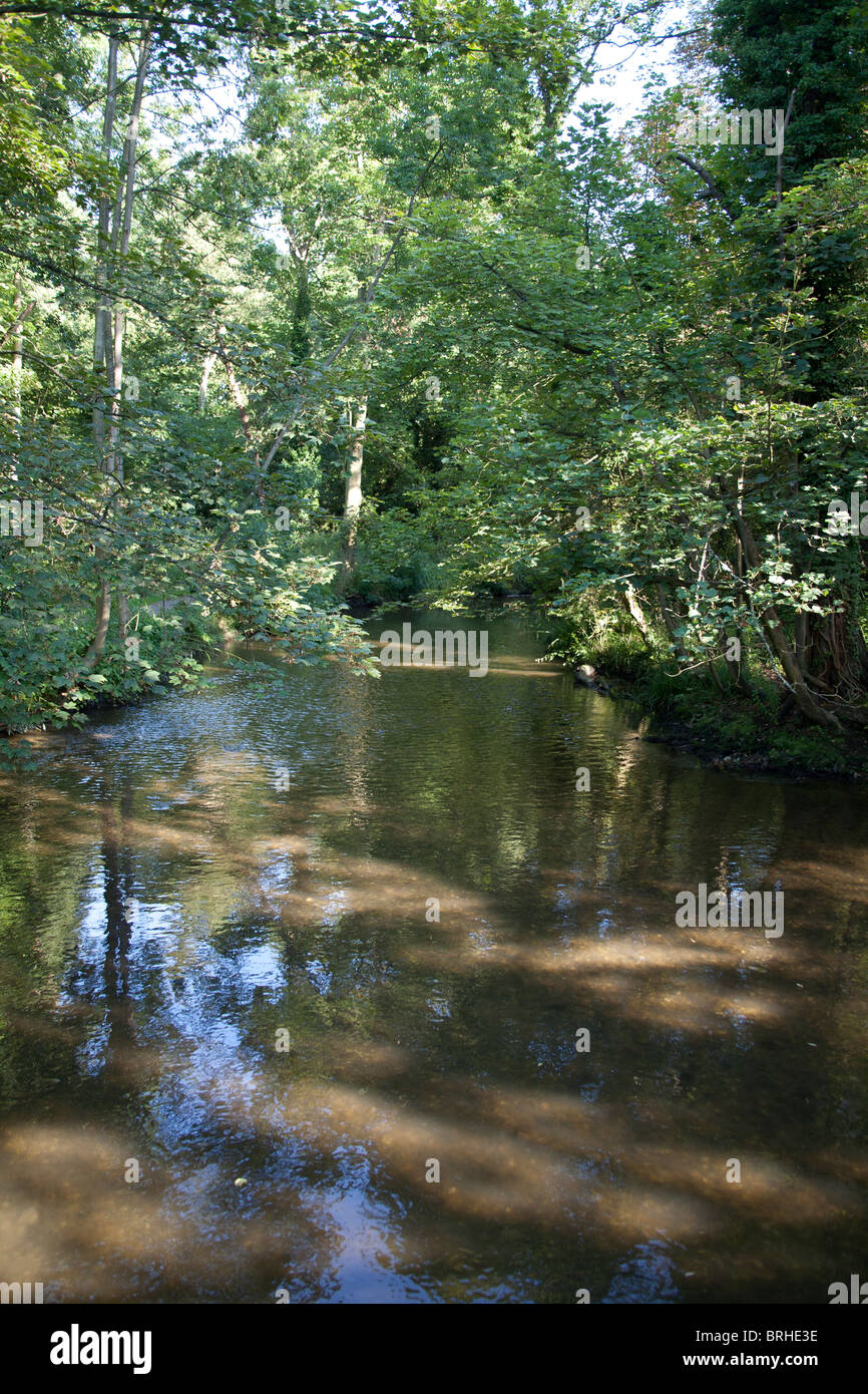 Der Fluß Gade in Cassiobury Park, Watford, England UK Stockfoto