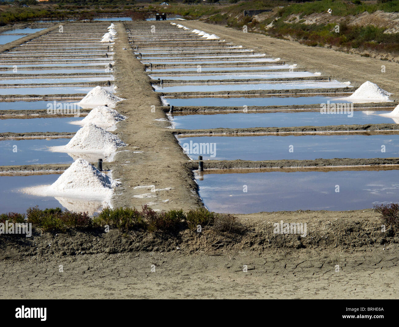 Gesammelt in den Stapel in Salzfelder Salz zubereitet, exportiert eines das Prinzip von der französischen Insel Ile de Re Stockfoto