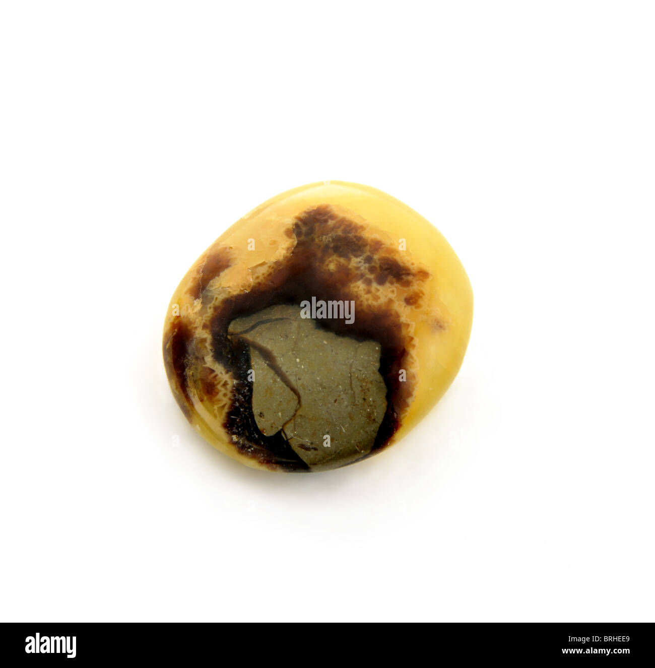 Septarian - poliert Edelstein aus Madagaskar Stockfoto