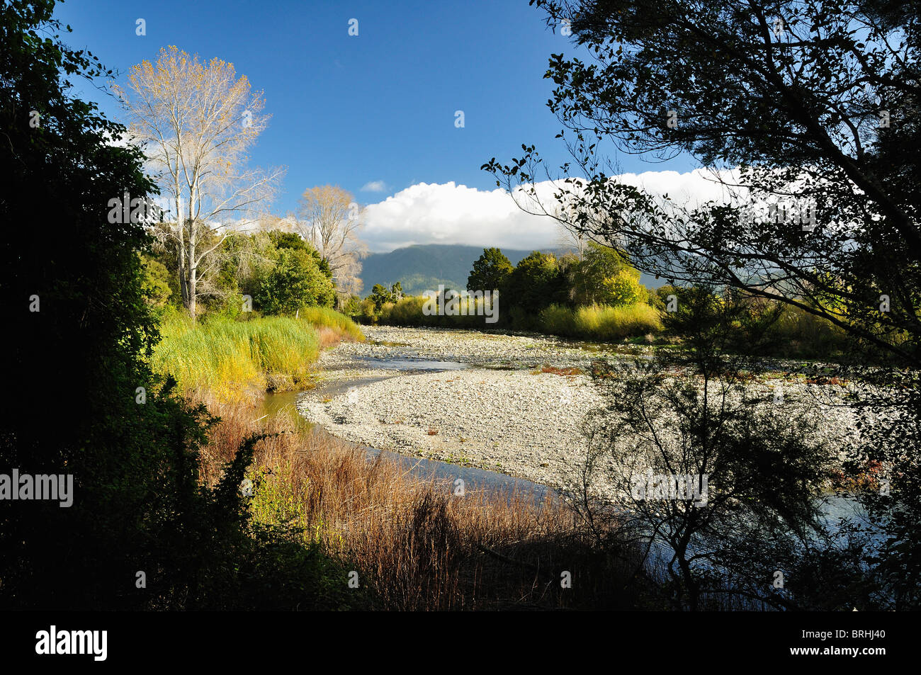 Takaka River, Paynes Ford Landschaftsschutzgebiet, Tasman, Südinsel, Neuseeland Stockfoto