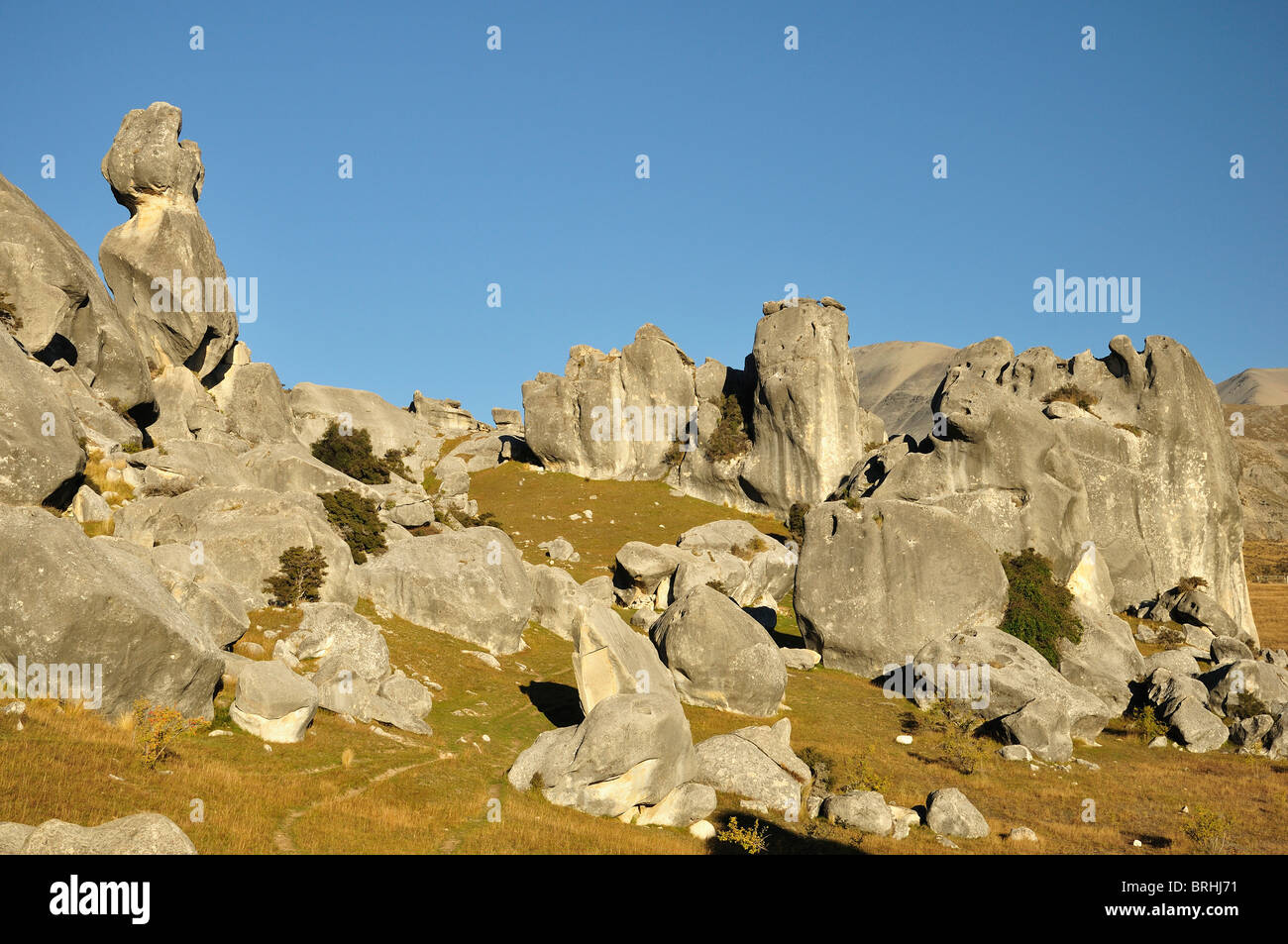 Burgberg, Canterbury High Country, Südinsel, Neuseeland Stockfoto