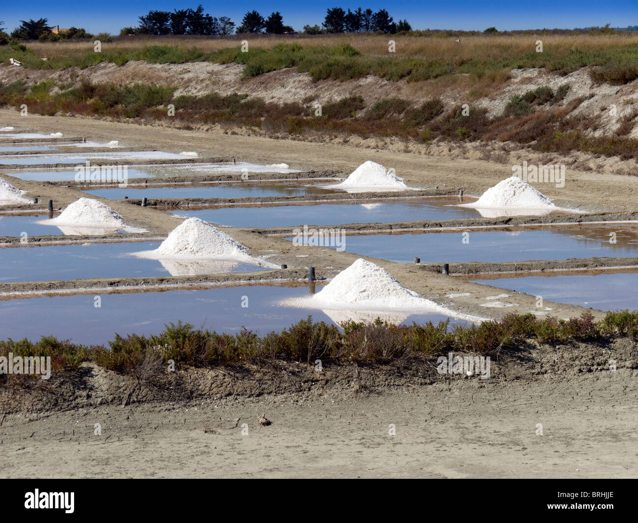 Gesammelt in den Stapel in Salzfelder Salz zubereitet, exportiert eines das Prinzip von der französischen Insel Ile de Re Stockfoto