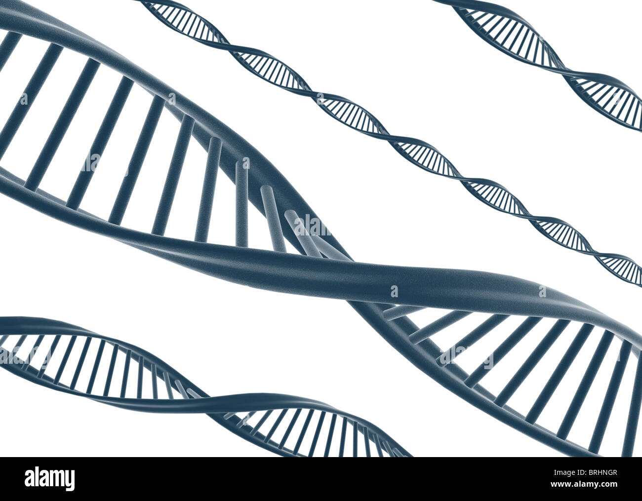 Abbildung der DNA isoliert auf weiss Stockfoto