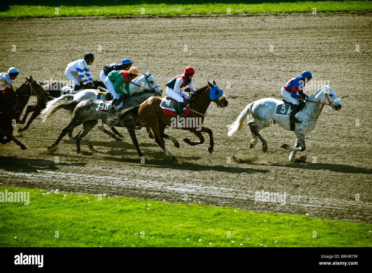 Pferderennen-sprint Stockfoto