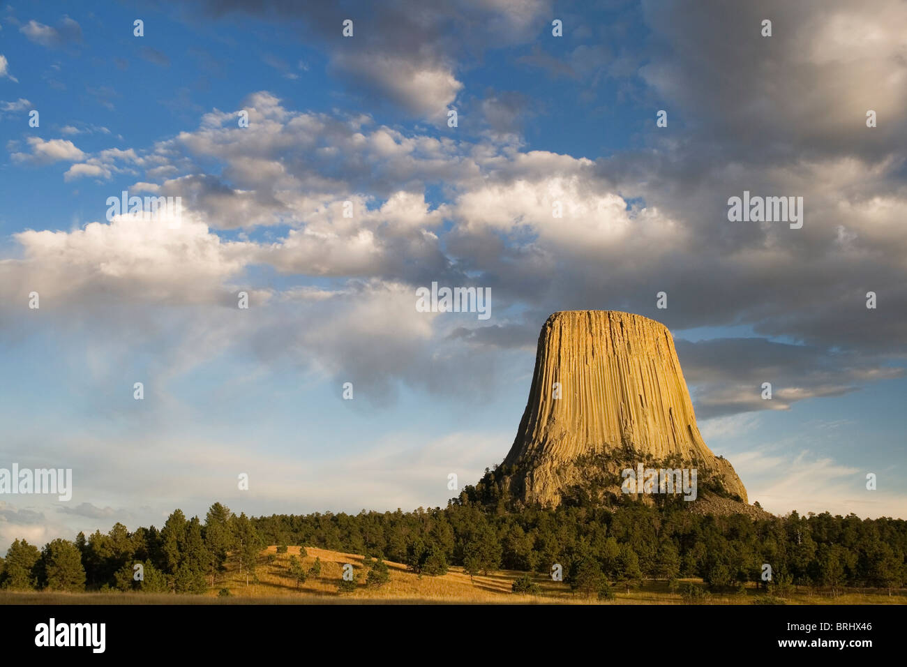 Devils tower, Wyoming im Abendlicht mit Wolken am blauen Himmel Stockfoto