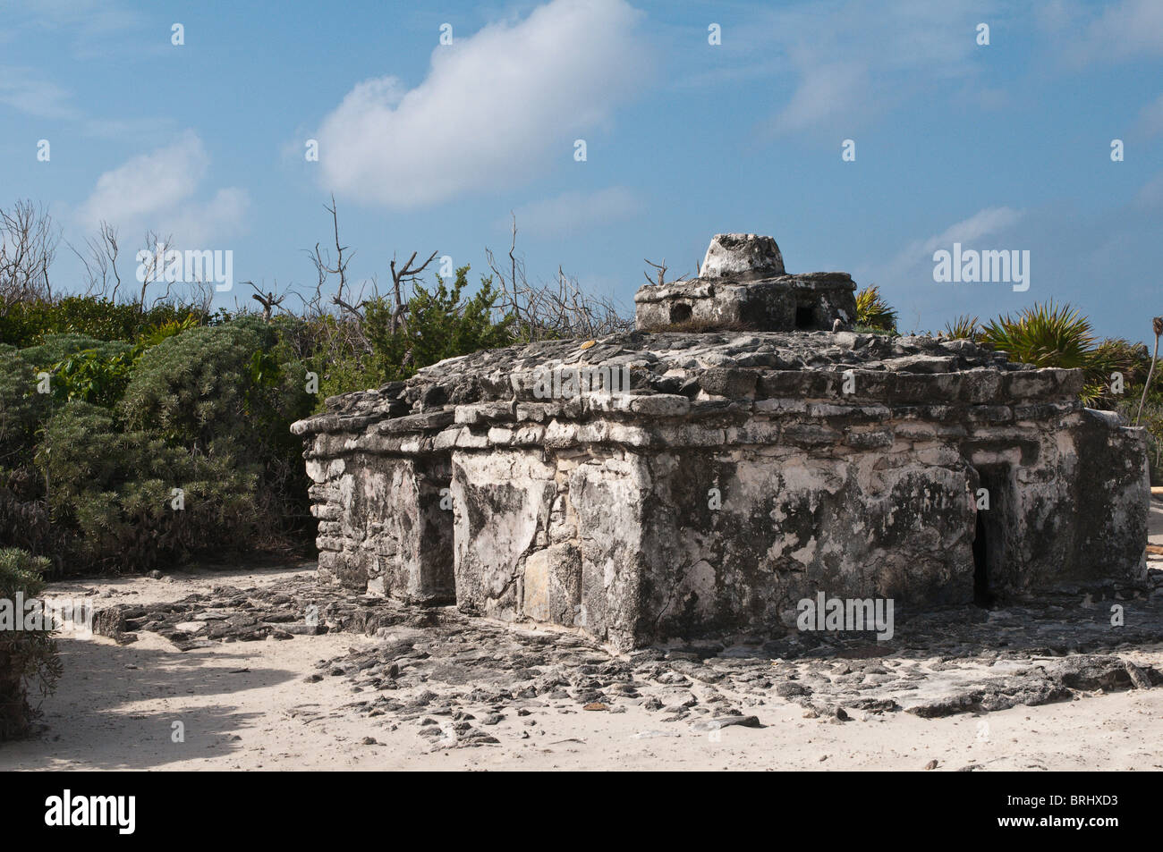 Mexiko, Cozumel. Alte Maya-Ruinen, Punta Sur Park Isla de Cozumel (Insel Cozumel). Stockfoto