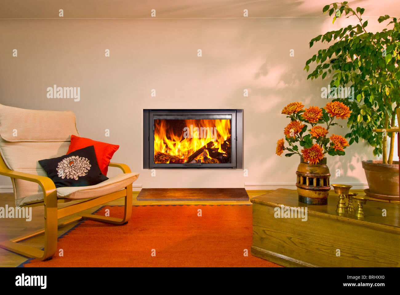 Ein Aquatherm Eco Insert Brennholz Ofen mit Flammen Stockfoto