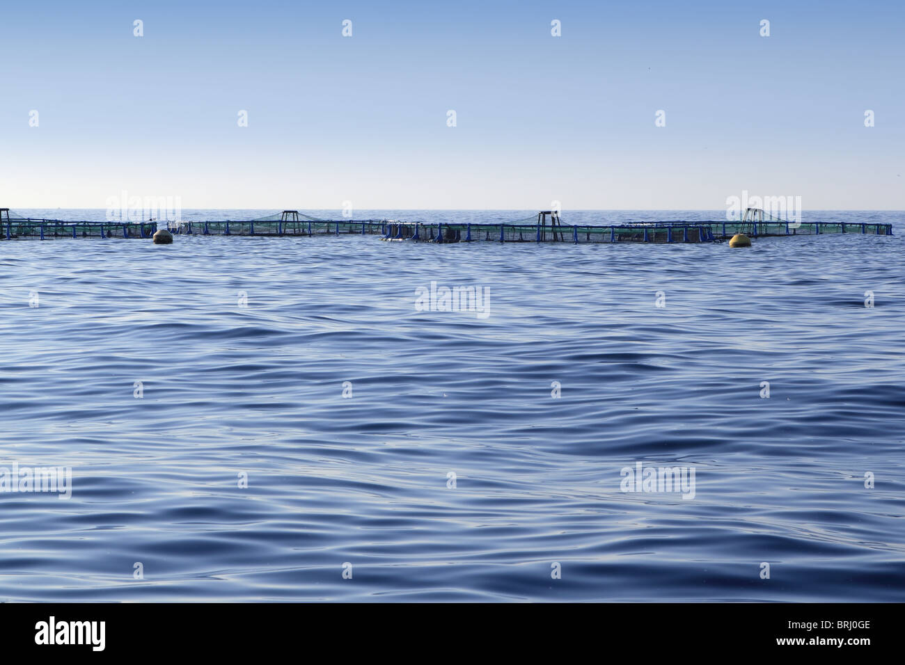 Fischfarm auf blauen Ozean Meer Horizont Schilfschneiden Stockfoto